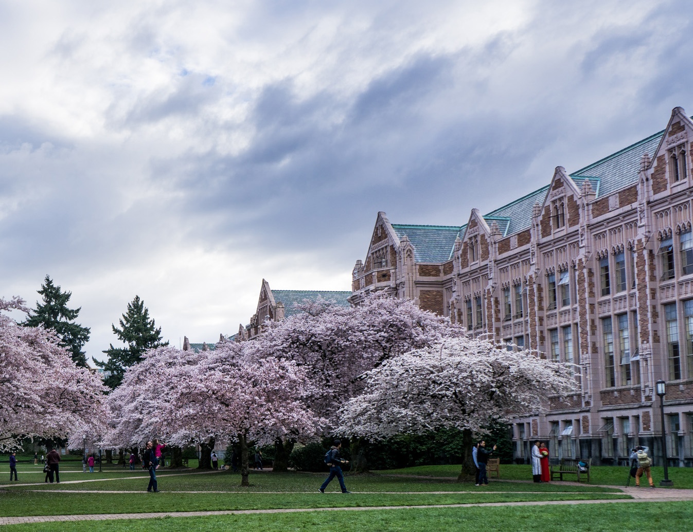 Washington-Tile-TransferUniversities